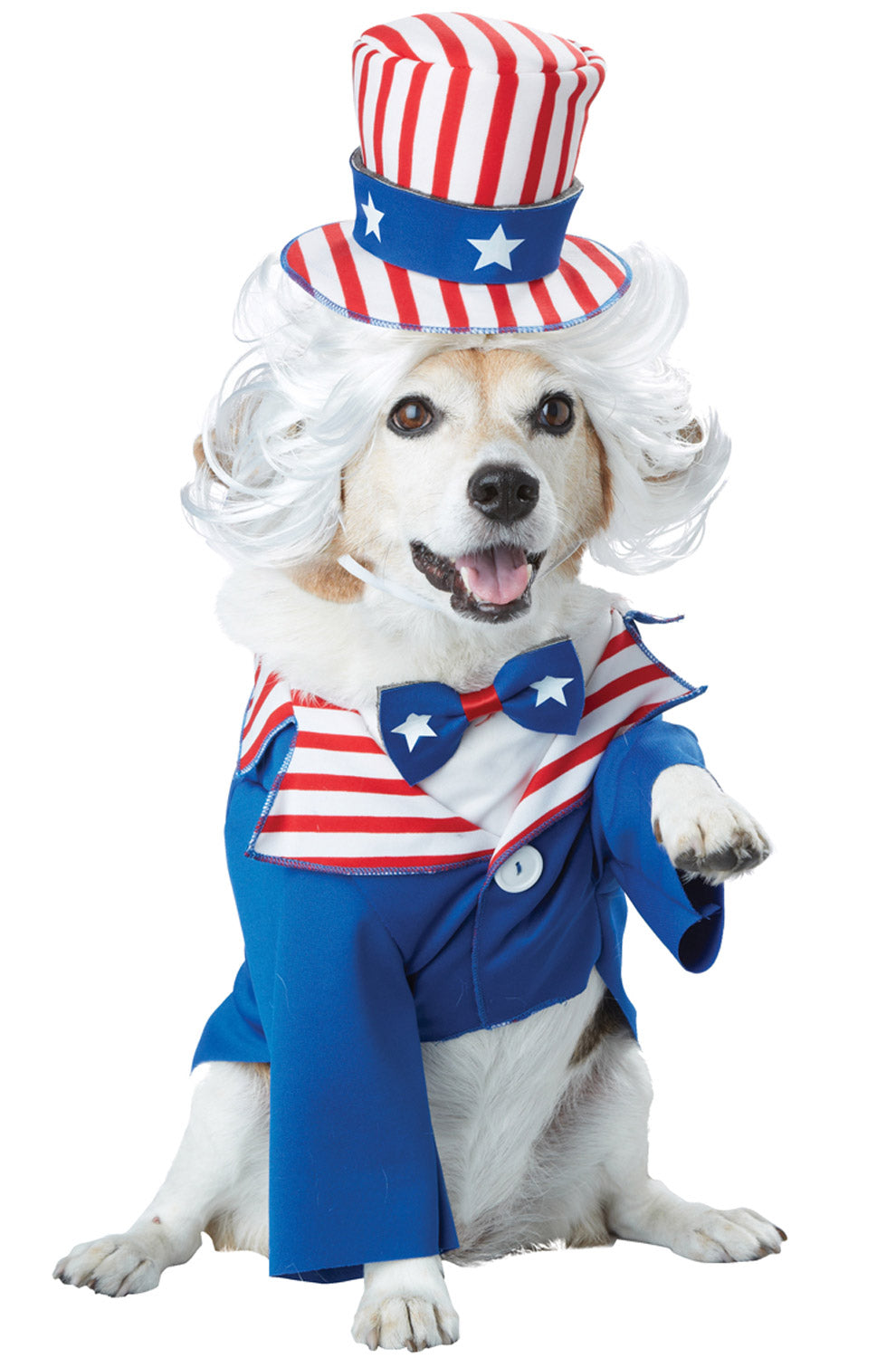 Patriotic Uncle Sam Pet Costume