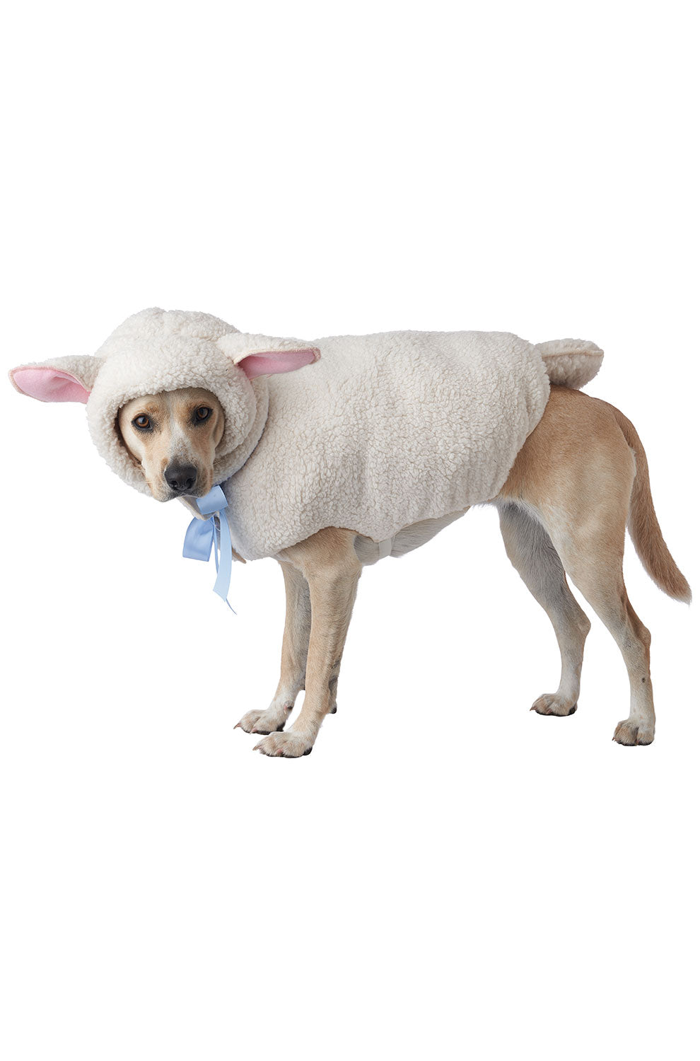 Sheep Pet Costume