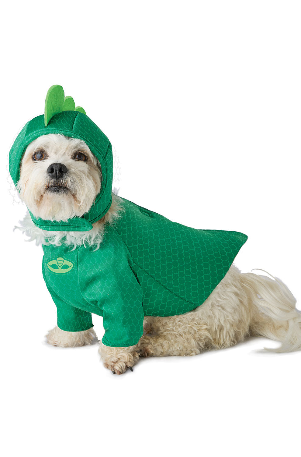 Gekko Pet Costume