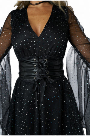 Shimmering Dark Angel Adult Costume