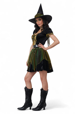 Emerald City Witch Adult Costume