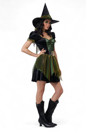 Emerald City Witch Adult Costume