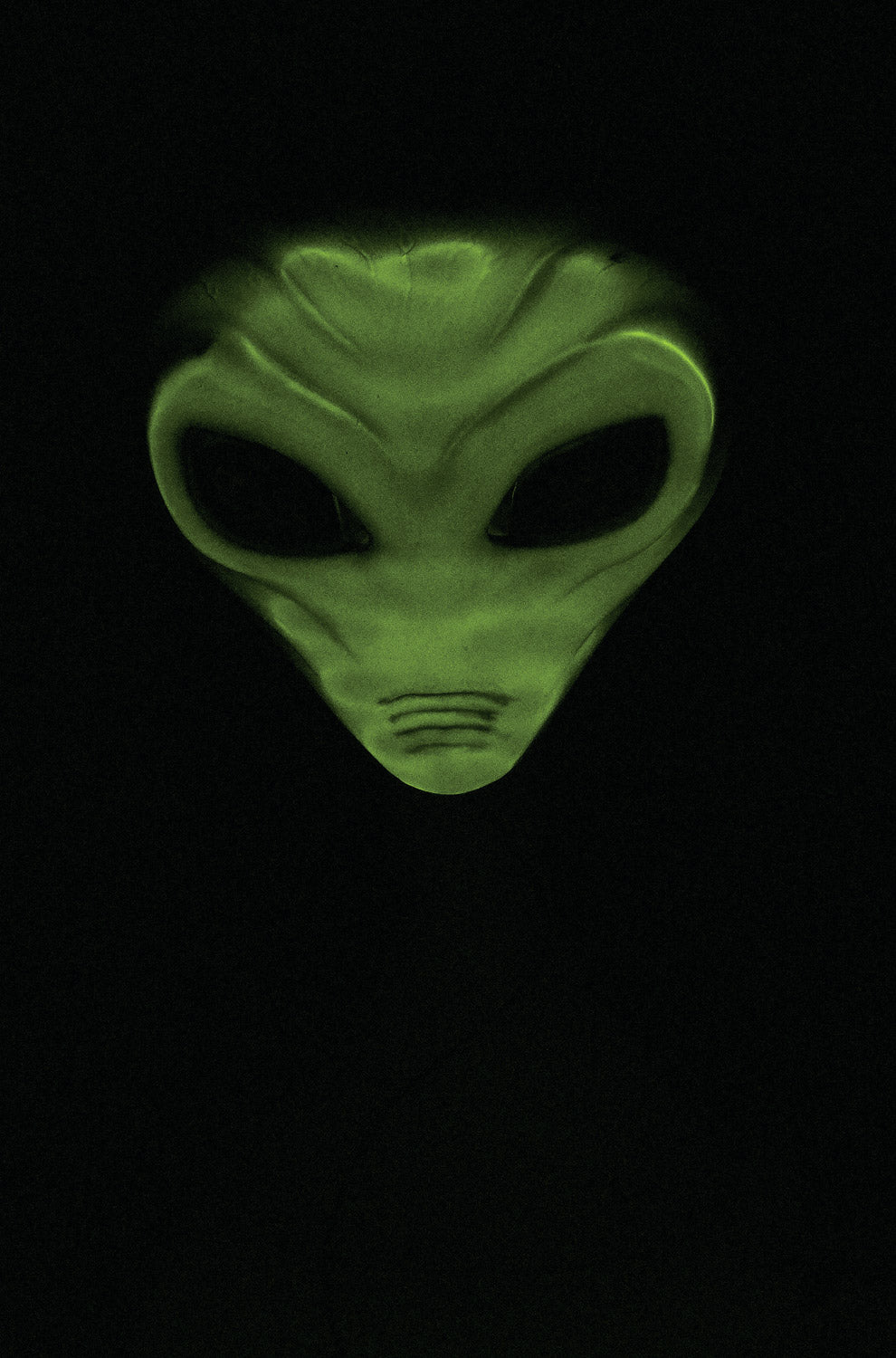 Visitor Mask (Green)