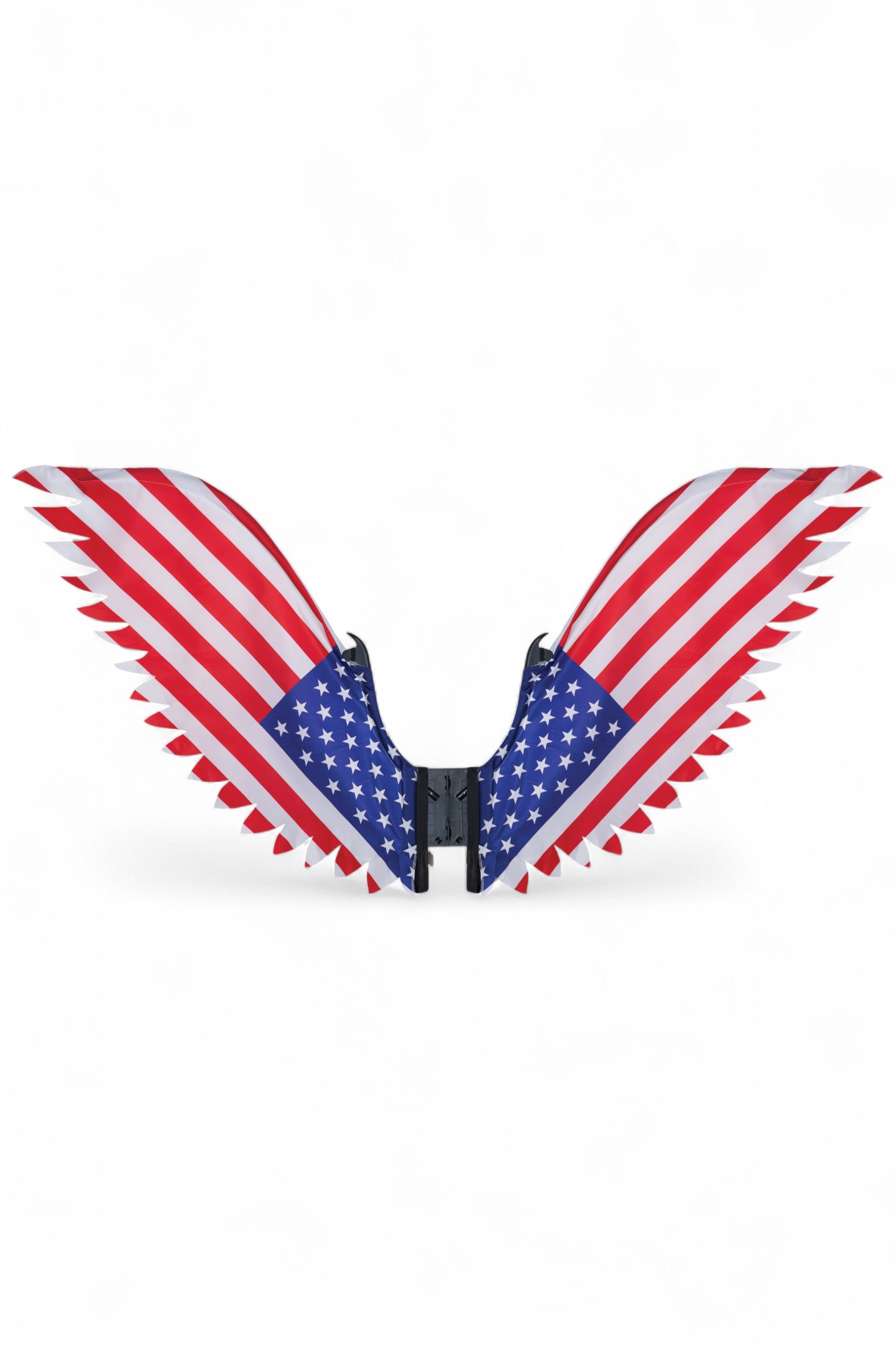 4th of July Patriot Wings