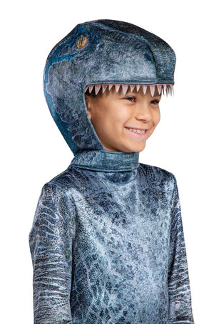 Blue Classic Toddler/Child Costume
