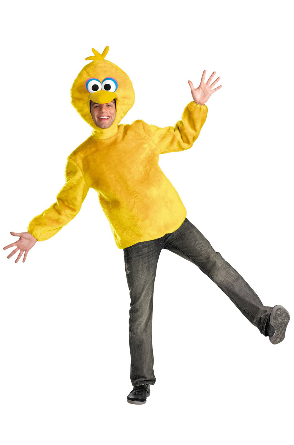 Big Bird Adult Costume
