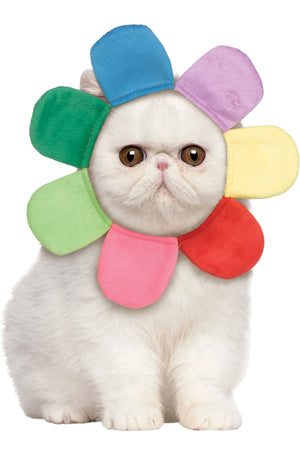 Rainbow Flower Petal Pet Hood