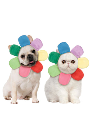 Rainbow Flower Petal Pet Hood