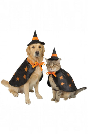 Witchy Pet Costume