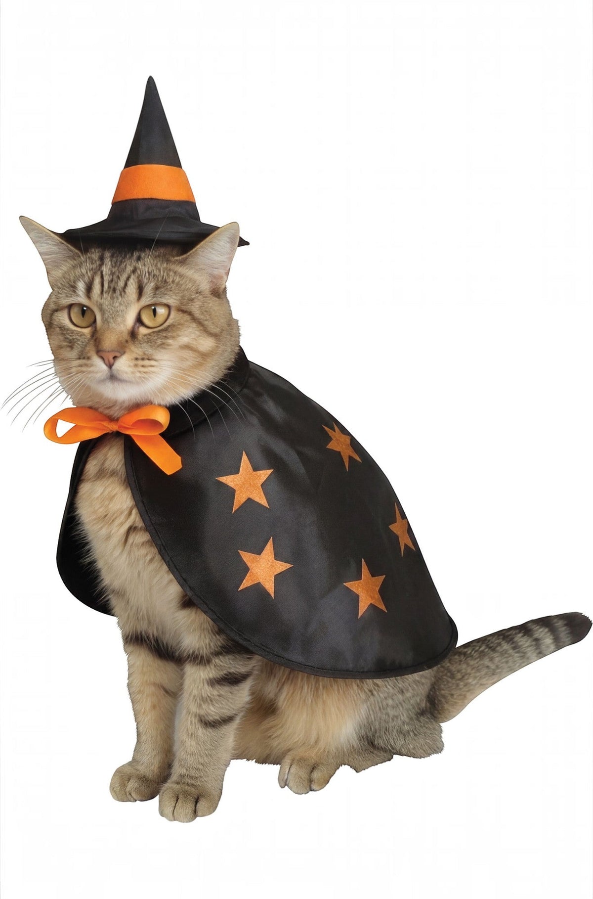 Witchy Pet Costume