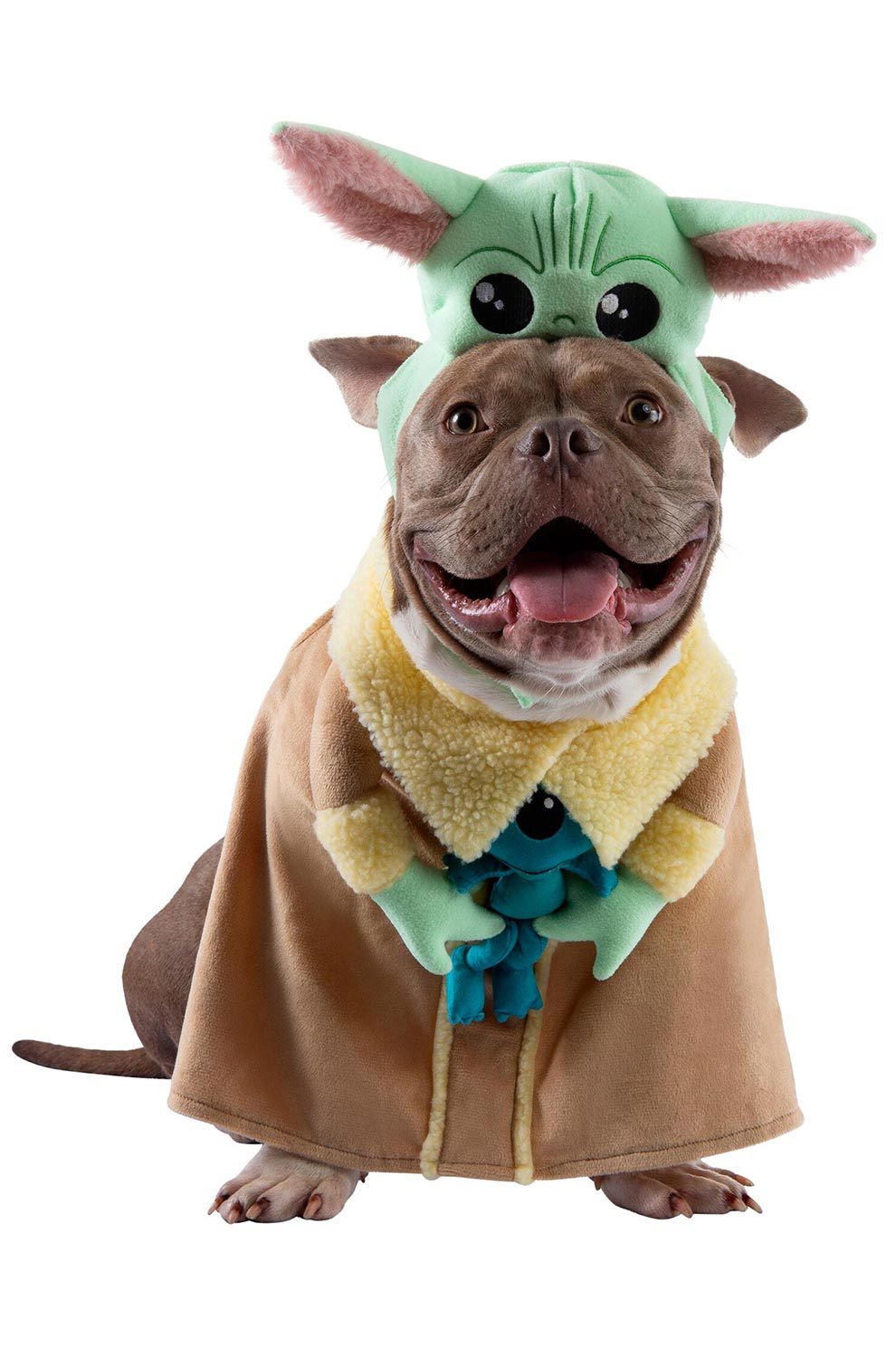 Grogu Pet Costume