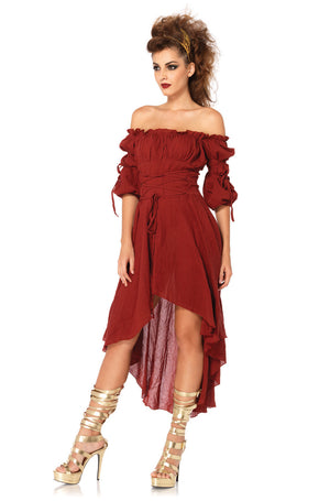 Renaissance Peasant Dress Adult Costume