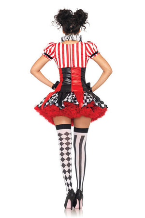 Harlequin Clown Adult Costume