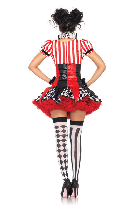 Harlequin Clown Adult Costume