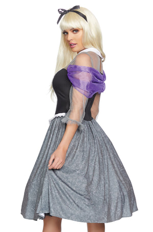Peasant Sleeping Princess Adult Costume