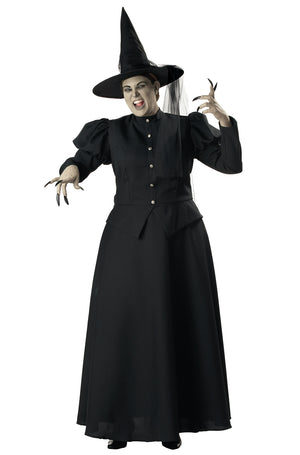 Wretched Witch Plus Size Costume