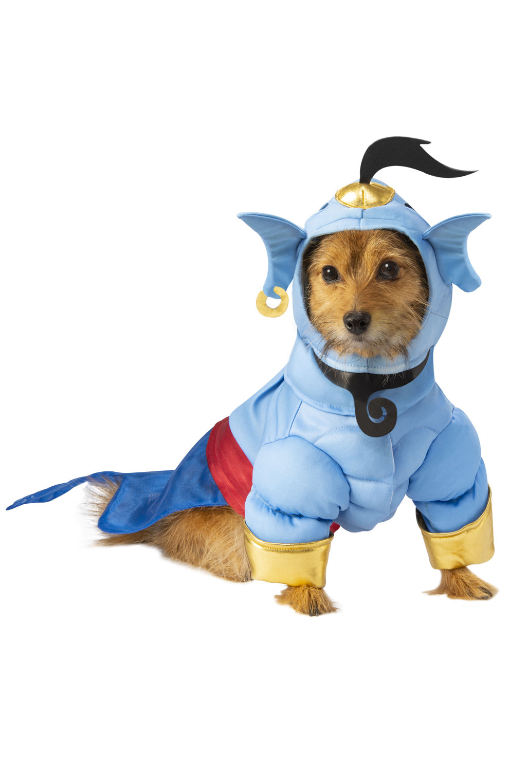 Genie Pet Costume