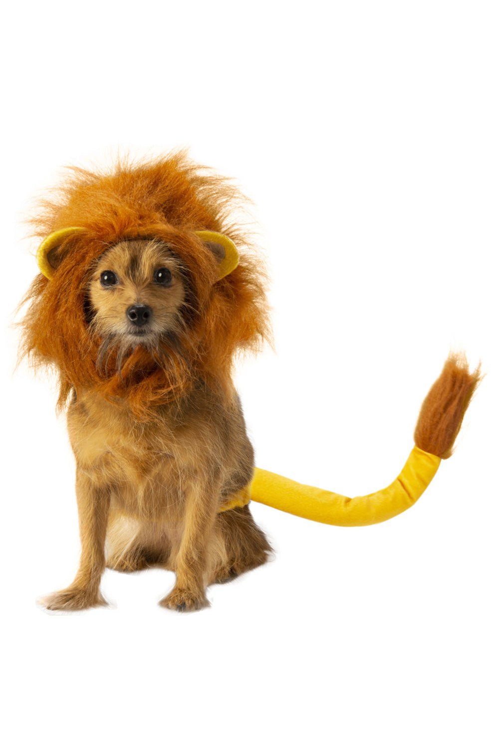 Simba Pet Accessory