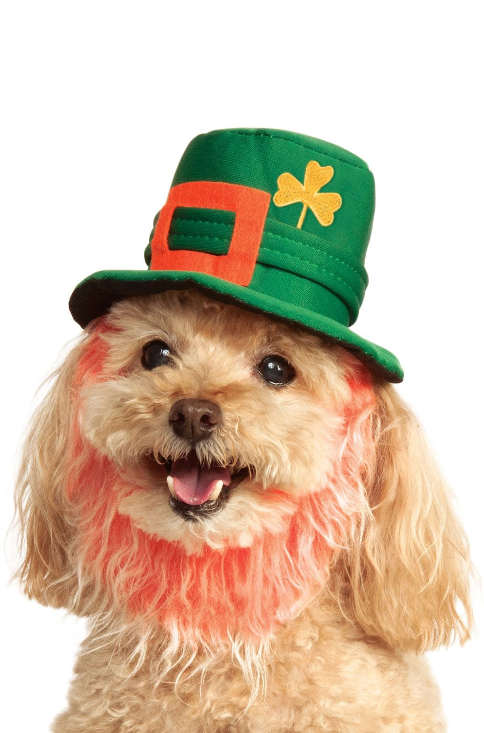 Leprechaun Hat with Beard Pet Accessory