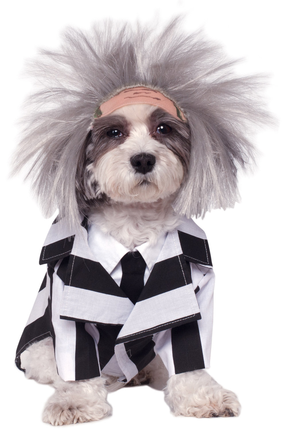 Beetlejuice Pet Costume
