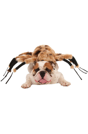 Creepy Spider Harness Pet Costume