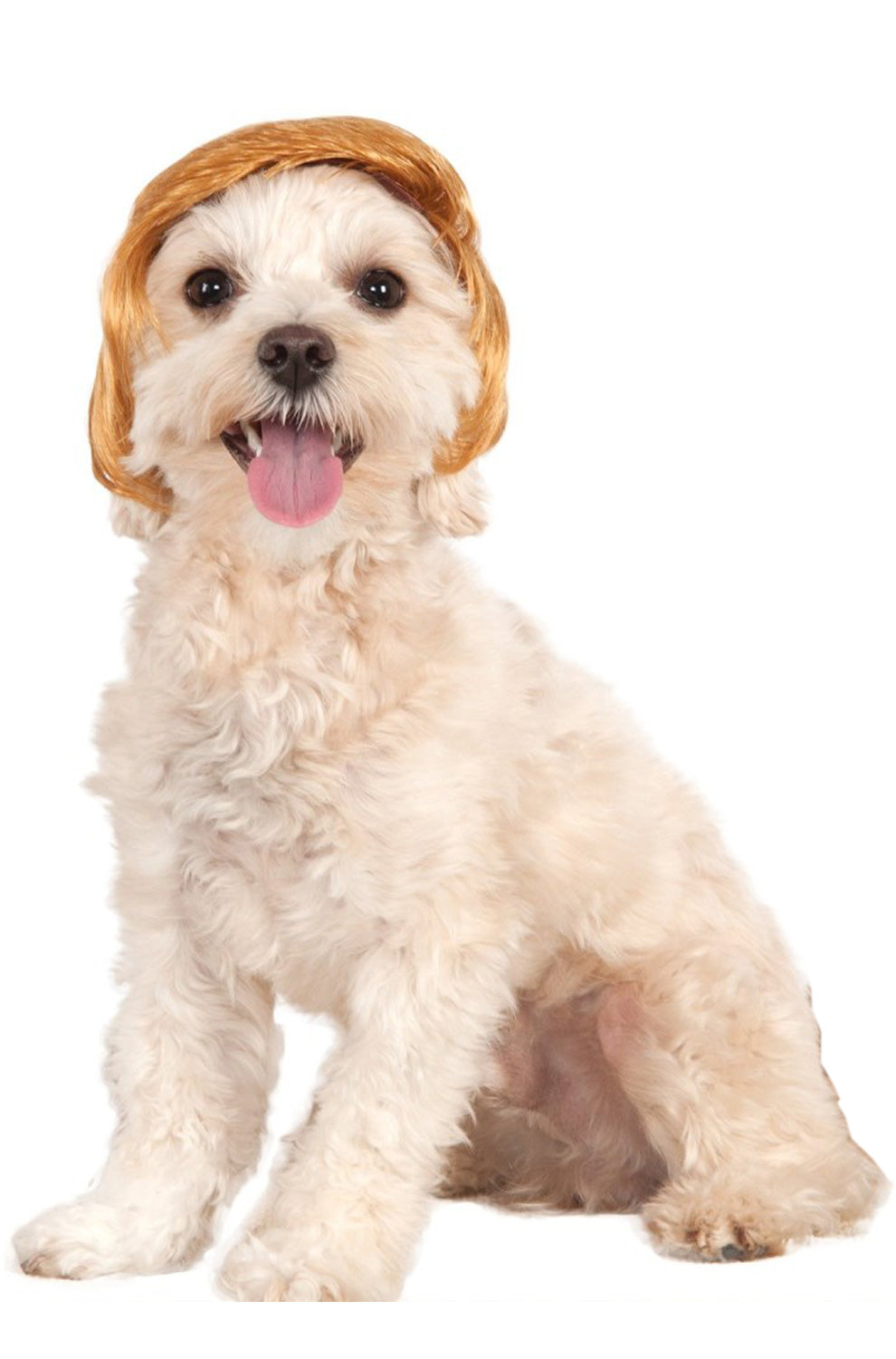 Pawlitical Billionaire Pet Wig