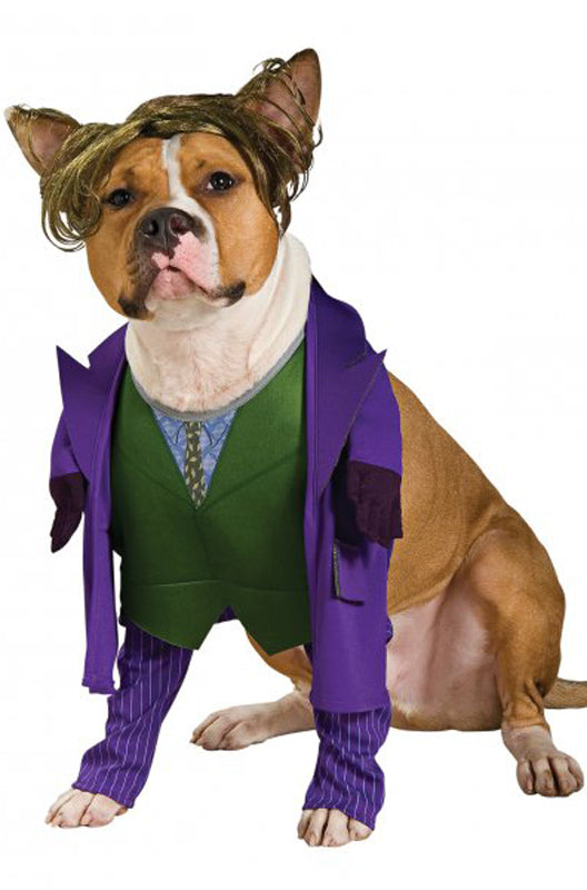 The Joker Pet Costume