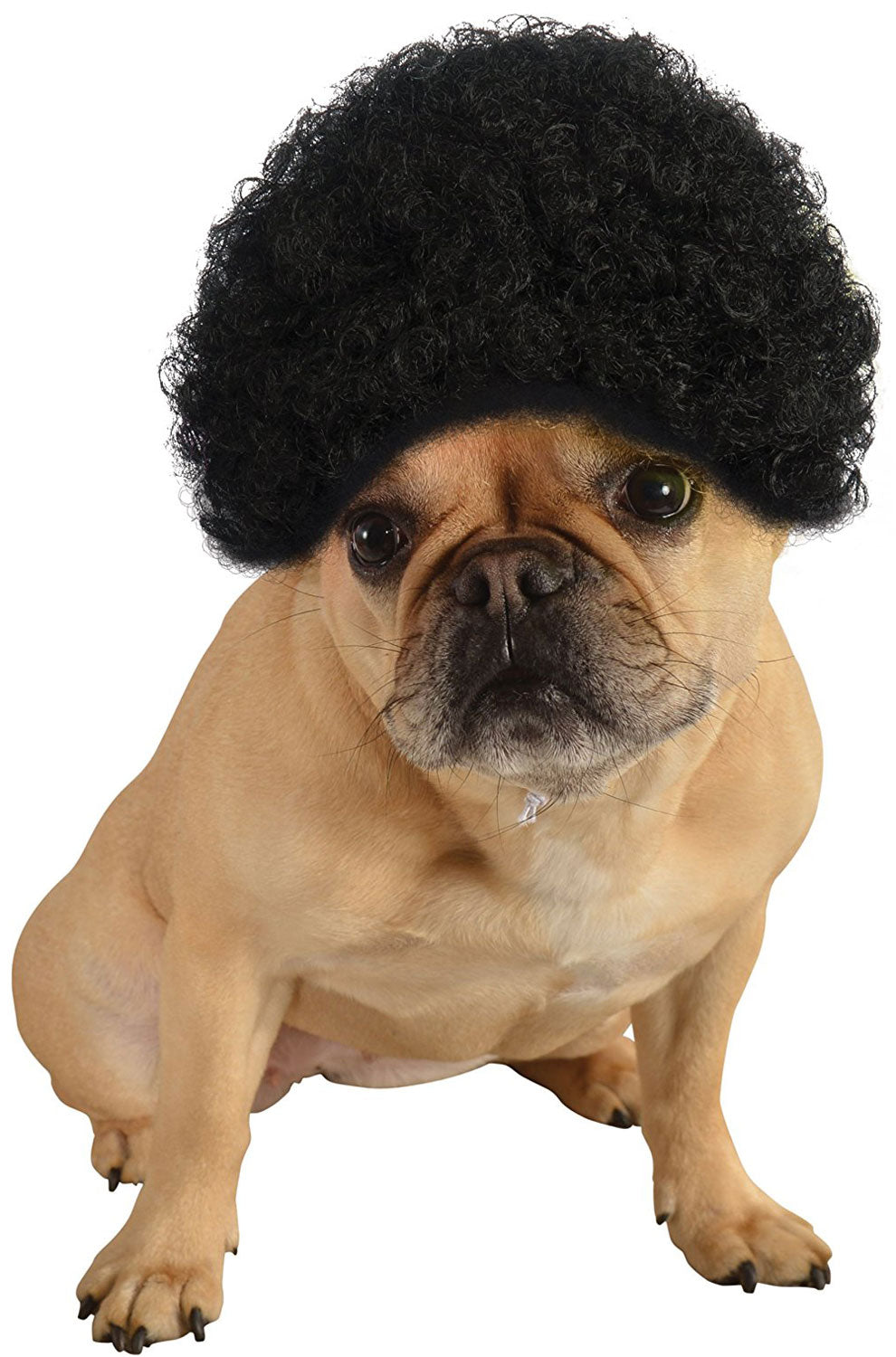 Black Afro Pet Costume