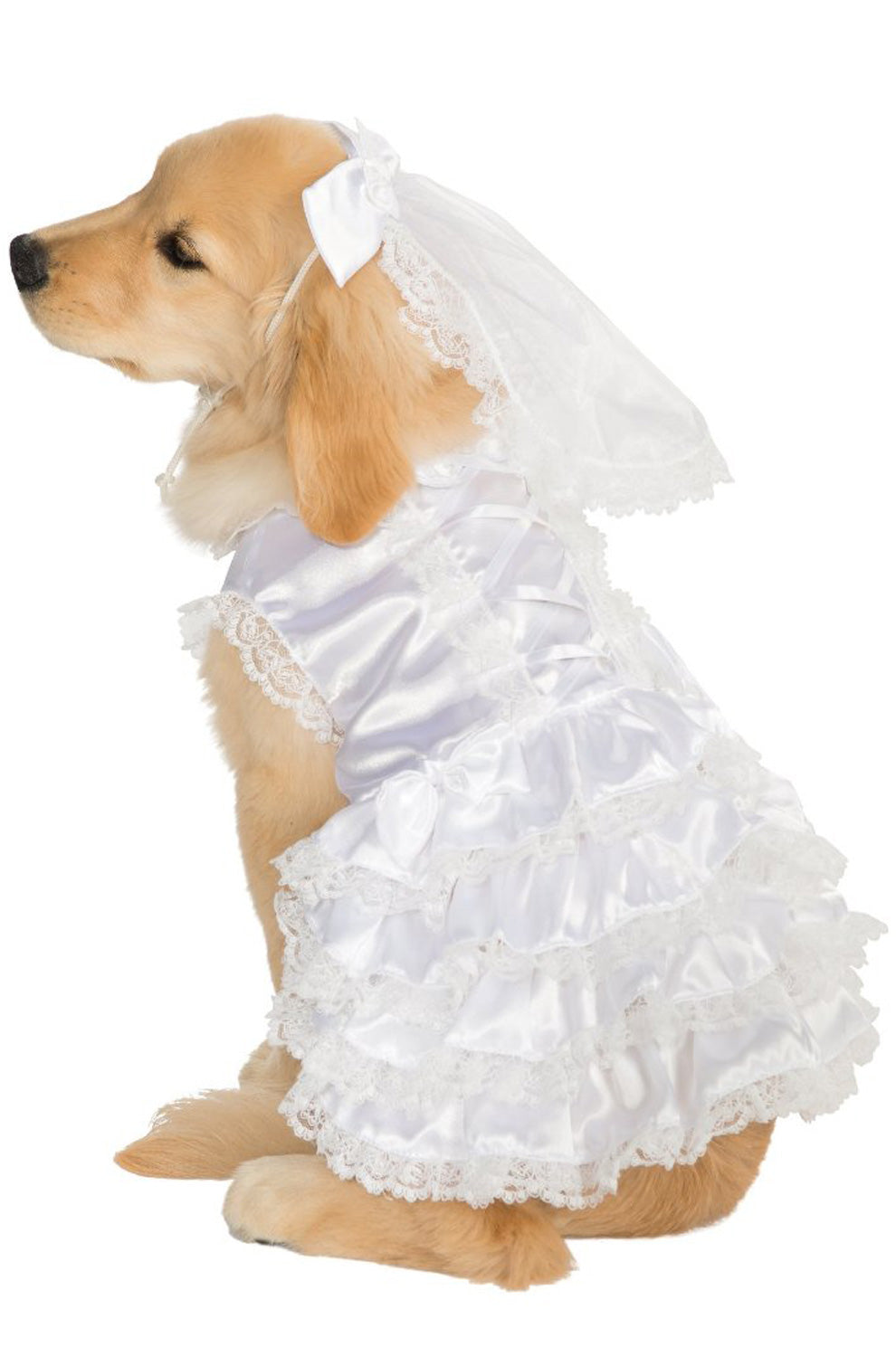 Bride Pet Costume