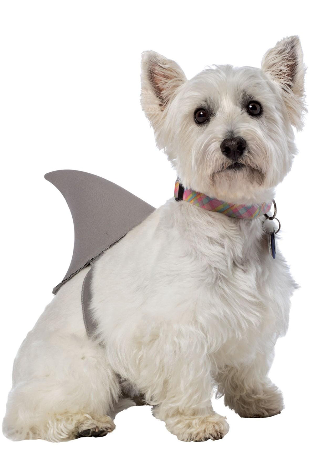 Shark Fin Dog Costume