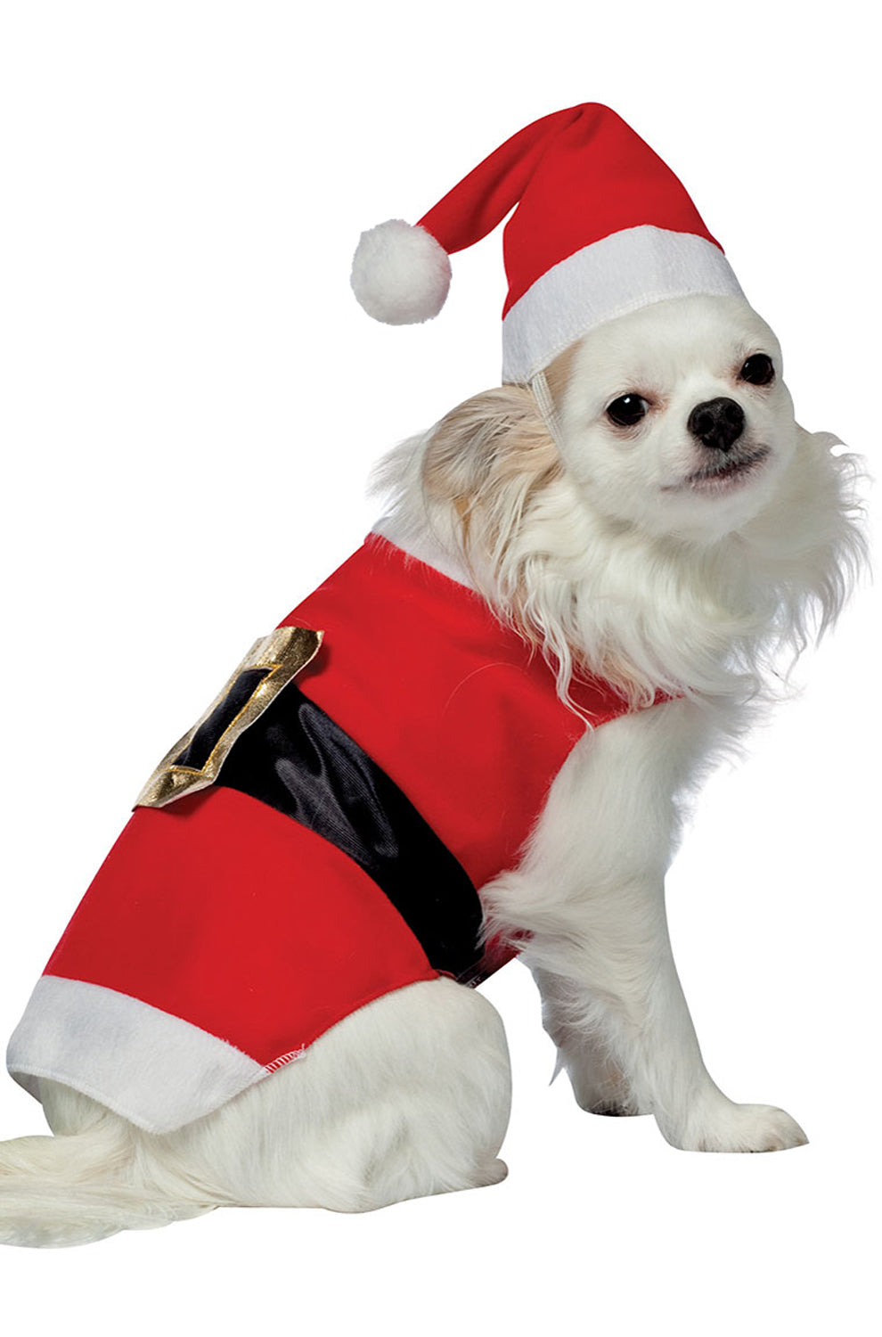 Santa Dog Costume