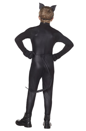 Miraculous Ladybug Cat Noir Child Costume