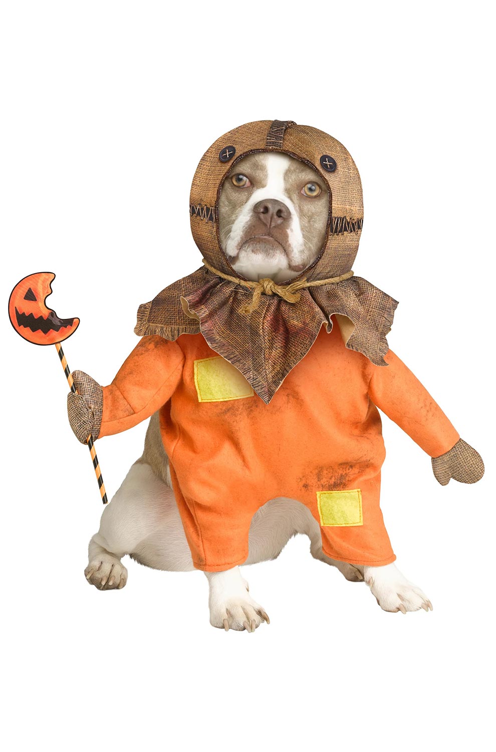 Trick 'r Treat Sam Pet Costume