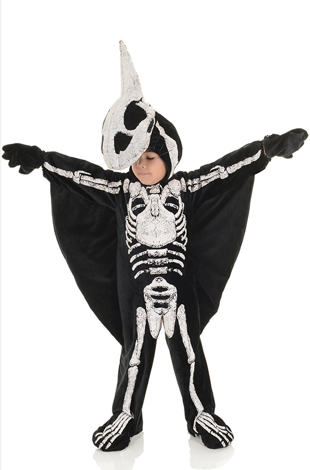 Pterodactyl Fossil Toddler Costume