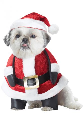 Santa Pup Pet Costume