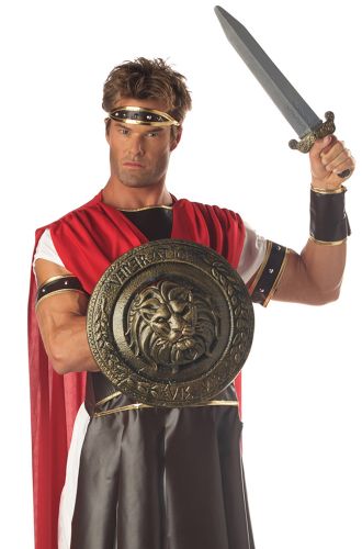 Gladiator Combat Shield and Sword