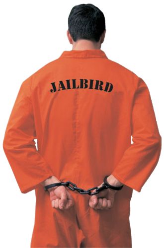 Jailbird Adult Costume