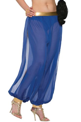 Belly Dancer Harem Pants Adult Costume (Blue)
