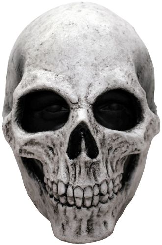 White Skull Adult Mask