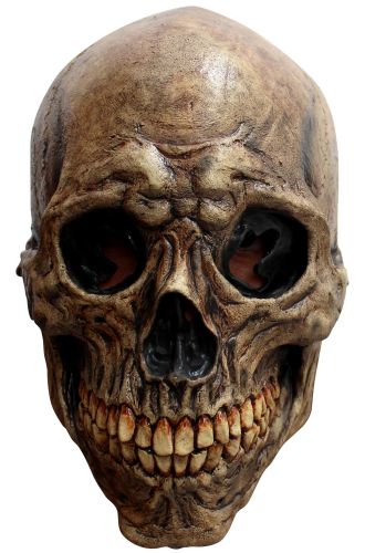 Ancient Skull Adult Mask