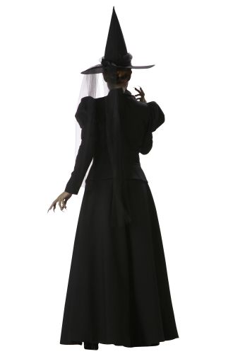 Wretched Witch Adult Costume