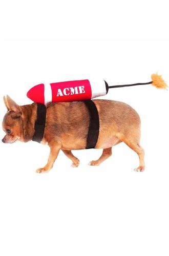 Acme Pet Costume
