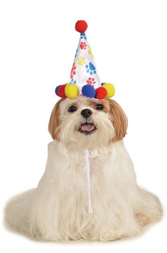 Boy's Birthday Hat Pet Costume