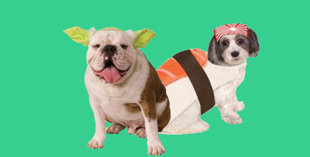 Pet Costumes