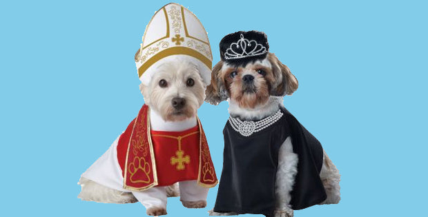 Pet and Owner Costume Ideas