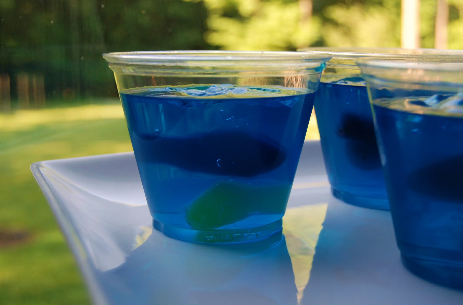 Snacks for a Shark Week Party