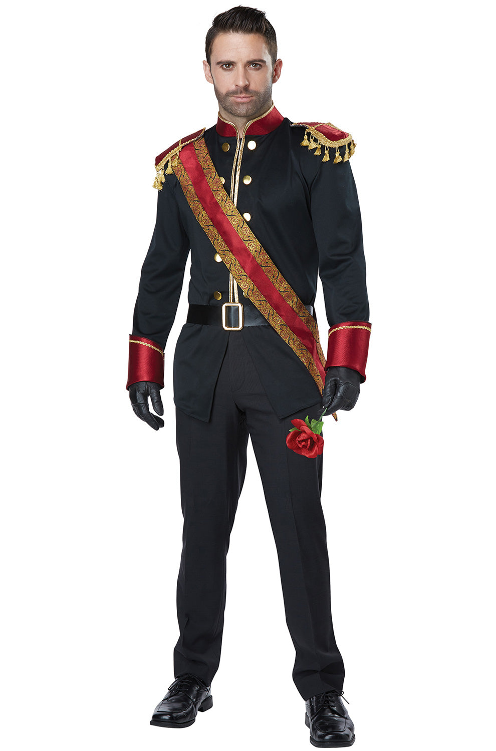 Dark Storybook Prince Adult Costume