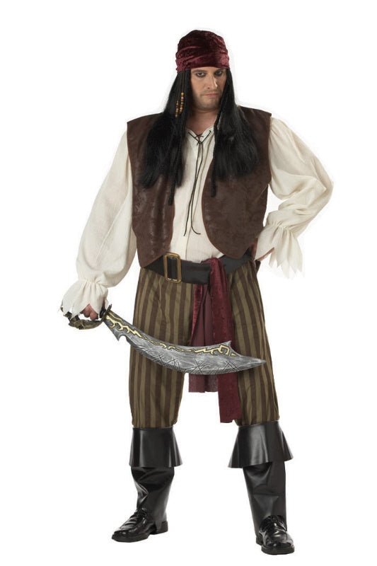 Plus Size Rogue Pirate Costume