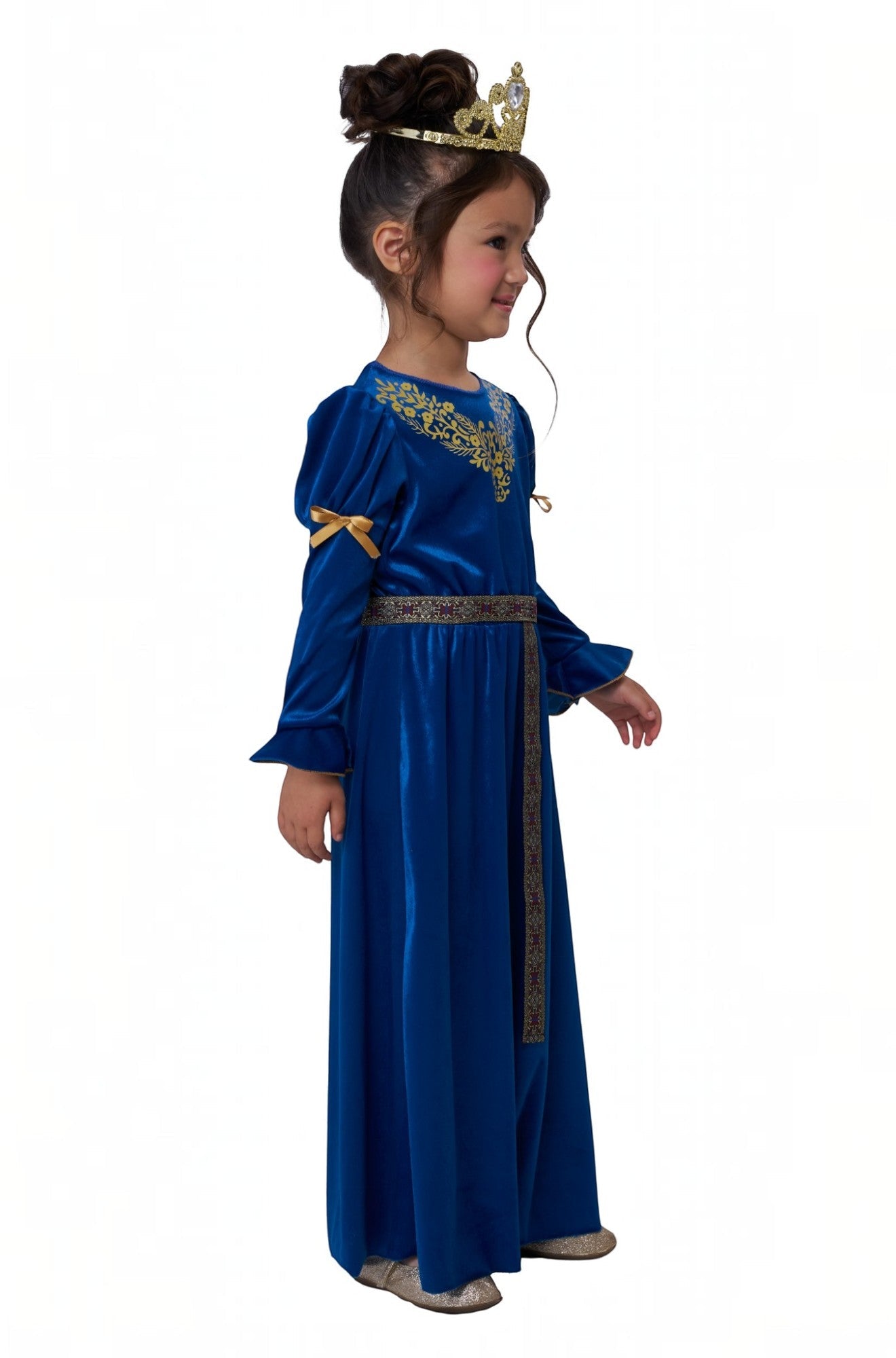 Royal Renaissance Princess Toddler Costume (Blue)