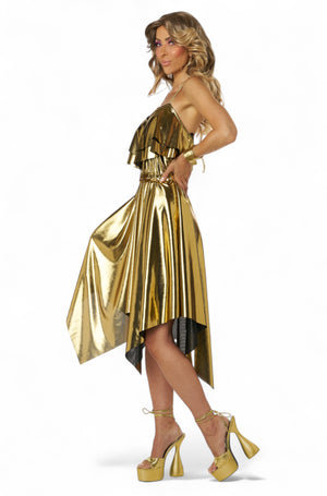 Gold 70's Disco Dress Adult Costume